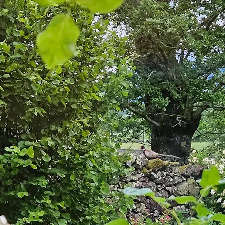 Beautiful Borrowdale Valley * 케직